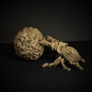 Death Beetle and Undead Ball