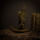 Trench Crew - Doc Tash