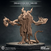 Dragonborn Druid, Warden of the Wilds - Only-Games