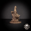 Dwarf Wizard Sorli Long-Beard - Only-Games