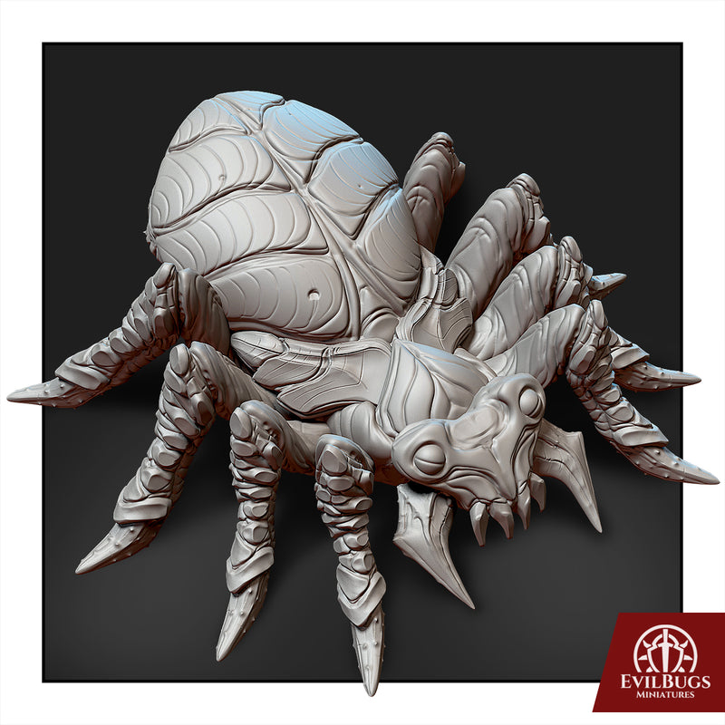 Spider Nightwebber - Only-Games