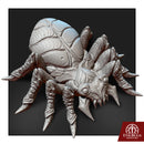 Spider Nightwebber - Only-Games