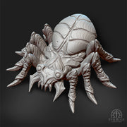 Spider Nightwebber - Only-Games