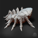 Spider Nightwebber - Only-Games