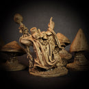 Fenella the Witch & Three Shrooms