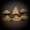 Fenella the Witch & Three Shrooms