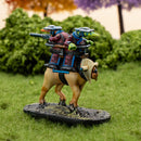 Clash of Rhyfles: Fidwog Command (Hard Plastic)