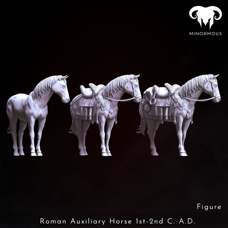 Horse - Roman Auxiliary Cavalryman 1st-2nd C. A.D. Auxilia Equestrians!