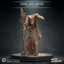 Hare-Kin Trio - Druid, Monk, Rogue - Only-Games