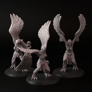 Harpy (3 models) - Only-Games
