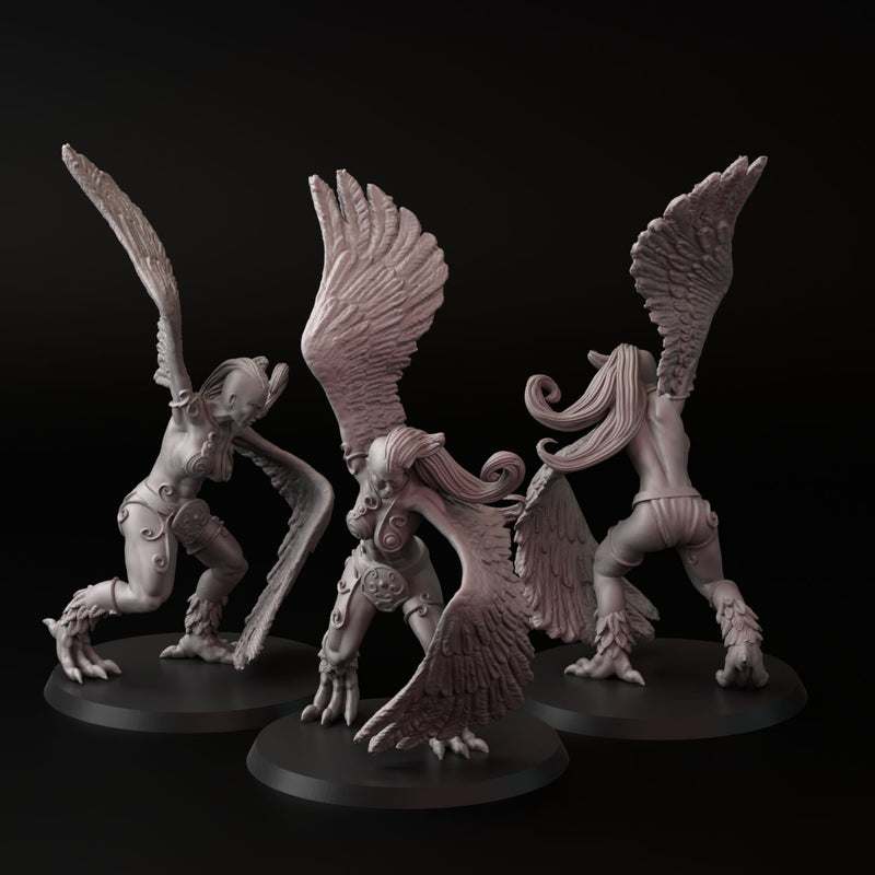 Harpy (3 models) - Only-Games