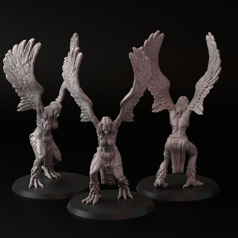 Harpy (3 models) - Only-Games