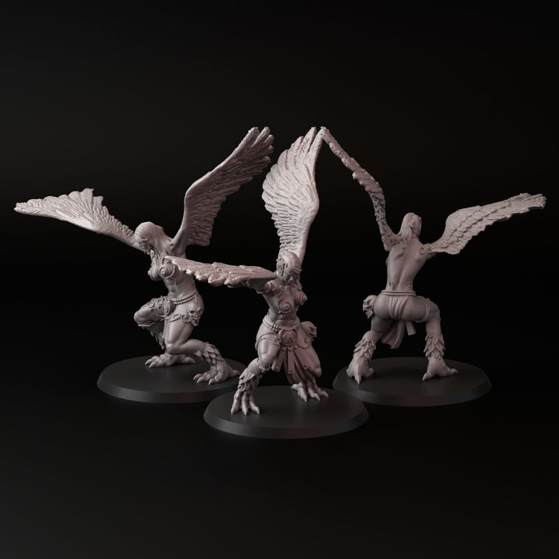 Harpy (3 models) - Only-Games
