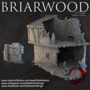 House 2 Ruins - Briarwood - Dark Realms Terrain Wargaming D&D DnD - Only-Games