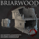 House 2 Ruins - Briarwood - Dark Realms Terrain Wargaming D&D DnD