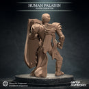 Human Paladin - Only-Games