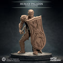 Human Paladin - Only-Games