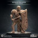 Human Paladin - Only-Games