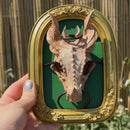 DRAGON SKULL FRAMED DECOR