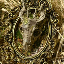 DRAGON SKULL FRAMED DECOR
