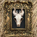 DRAGON SKULL FRAMED DECOR