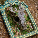 DRAGON SKULL FRAMED DECOR