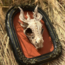 DRAGON SKULL FRAMED DECOR