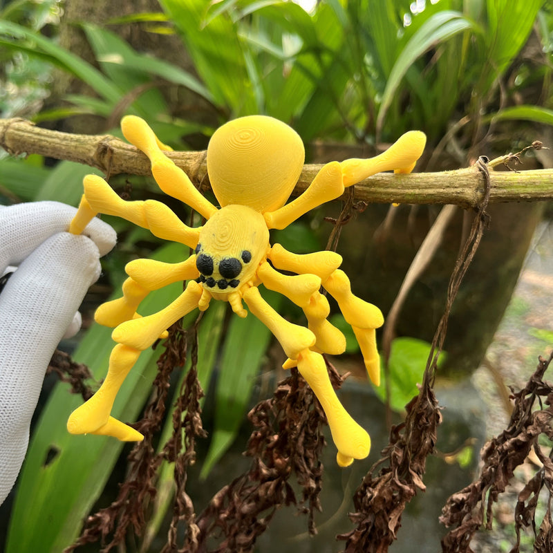 Flexi Spider 2.0