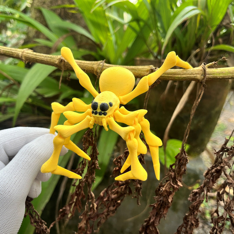 Flexi Spider 2.0
