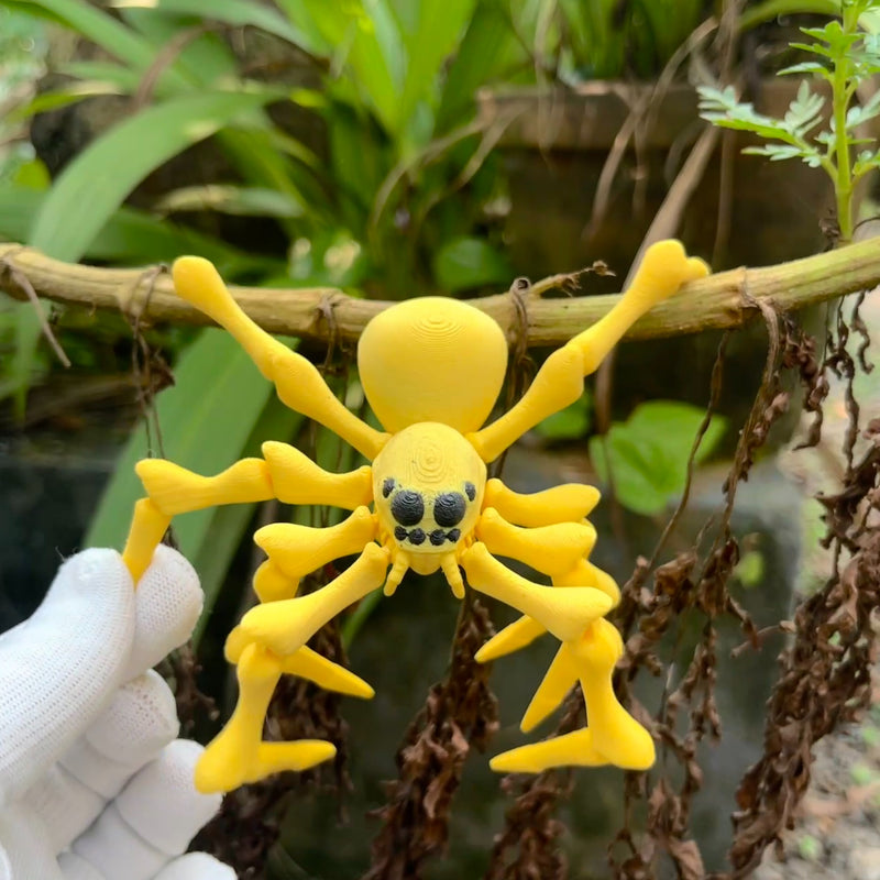 Flexi Spider 2.0