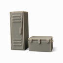 Metal chest and locker