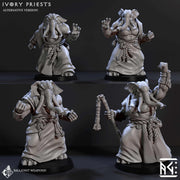 Ivory Priests  (Elephorim Ivory Sentinels) - Only-Games