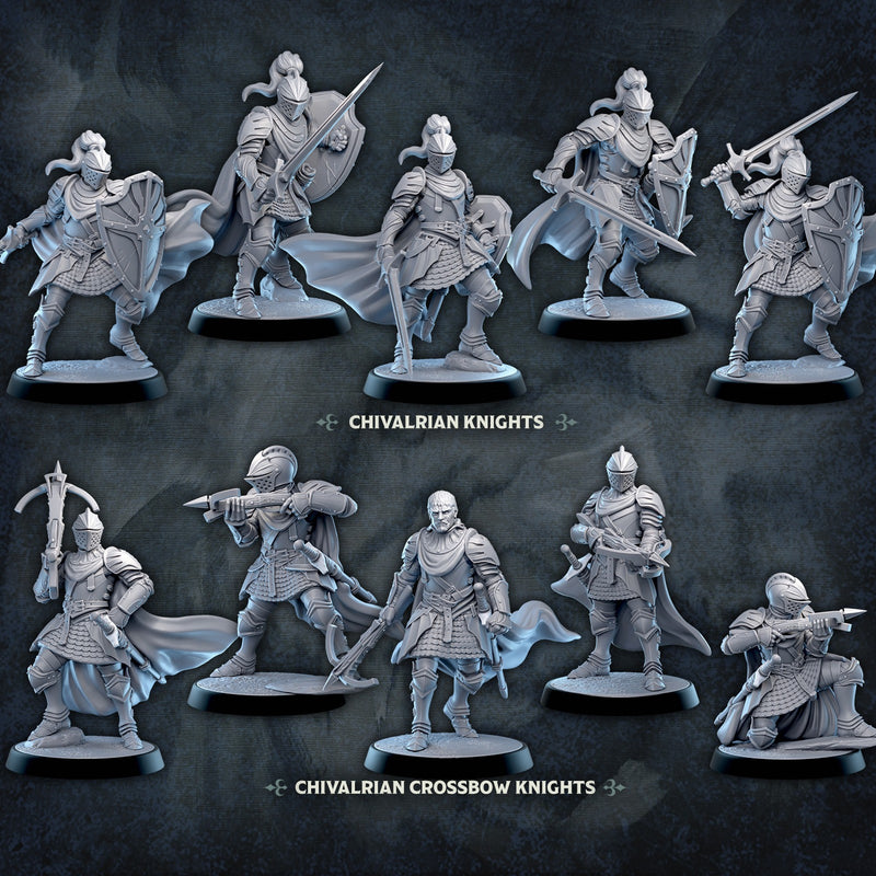 L14 Chivalrian Knights Warband - Only-Games
