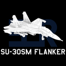 Su-30SM Flanker H (Loaded) - Only-Games