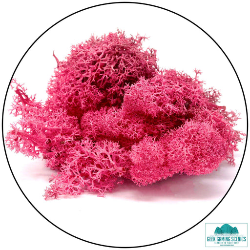 Lichen - Reindeer Moss (Icelandic Moss) Fuchsia - Only-Games