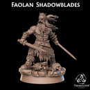 Faolan Shadowblades - Celt Warrior