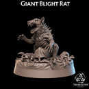 Giant Blight Rat