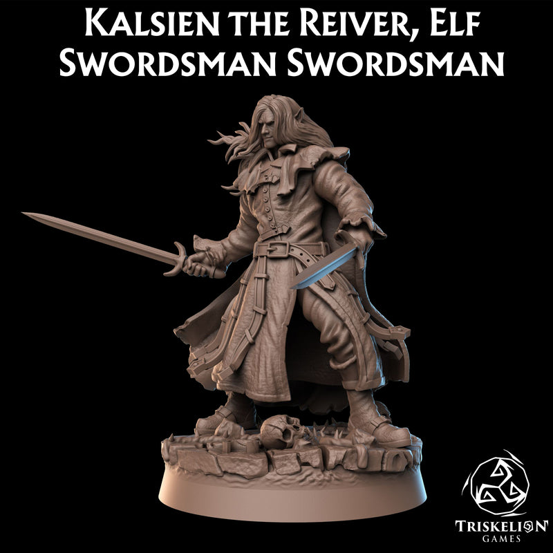 Kalsien the Reiver, Elf Swordsman