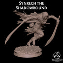 Synrech the Shadowbound - Shadowpact Assassin