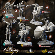ANASTYR CHRONICLES - SET Enemies  Minions & Elites - The Necromancer's Plague - Only-Games