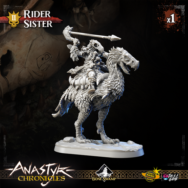 ANASTYR CHRONICLES - HUNTRESS_SISTER_MOUNTED (x1)