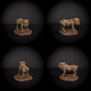 Man Hounds Pack of 5