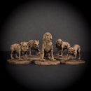 Man Hounds Pack of 5