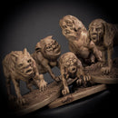 Man Hounds Pack of 5