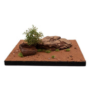 Base Ready Mars Earth - Only-Games