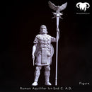 Figure - Roman Aquilifer 1st-2nd C. A.D. Looking at the Battlefield!