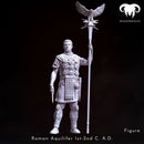 Figure - Roman Aquilifer 1st-2nd C. A.D. Looking at the Battlefield!