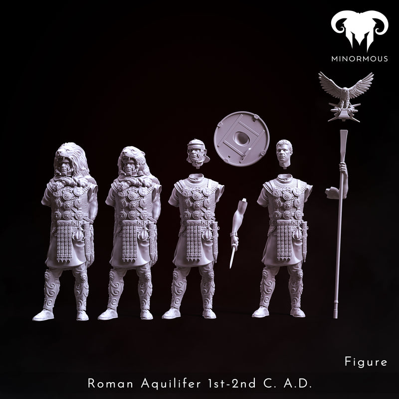 Figure - Roman Aquilifer 1st-2nd C. A.D. Looking at the Battlefield!