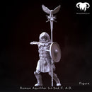Figure - Roman Aquilifer 1st-2nd C. A.D. The Last Stand!