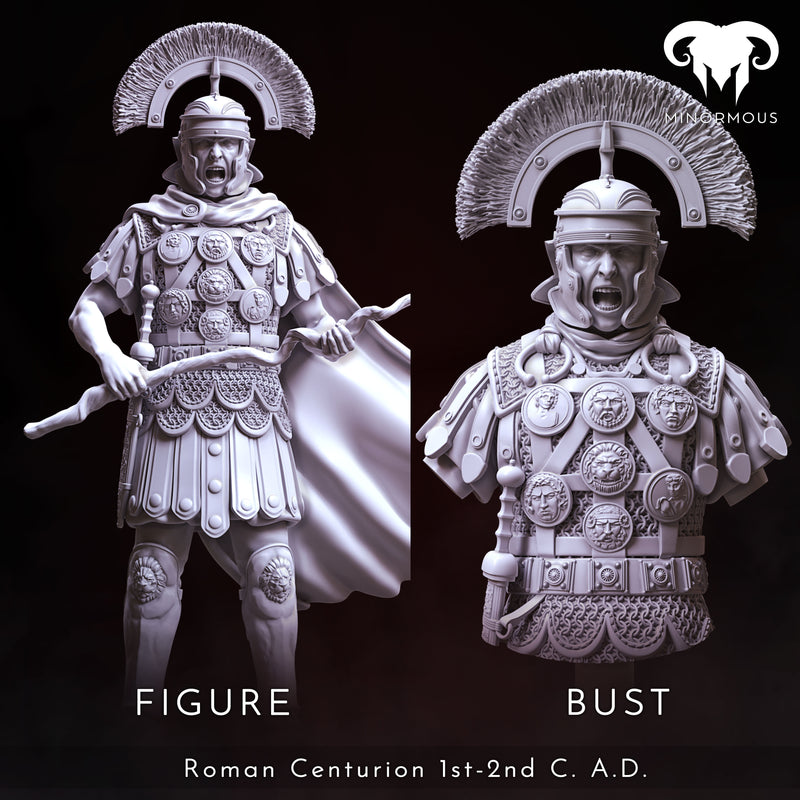 Bundle - Roman Centurion 1st-2nd C. A.D. Discipline and Order!